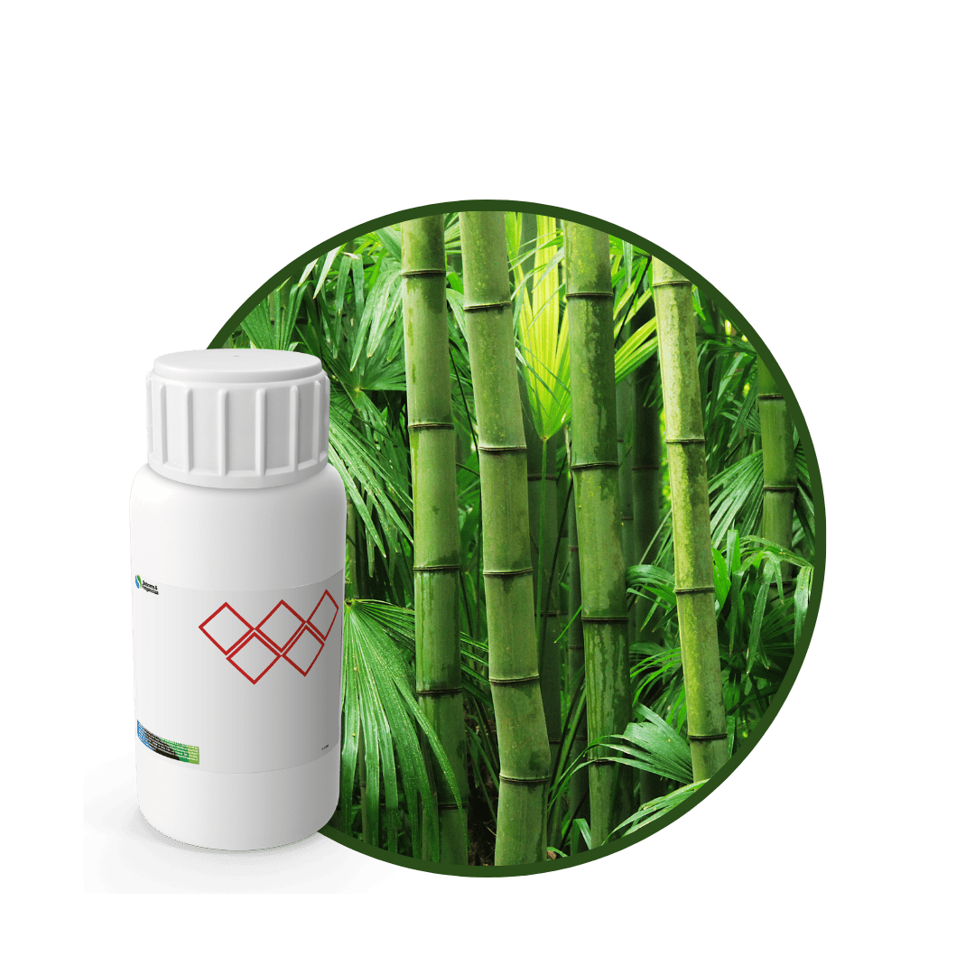 C6453318 - FRAGANCIA ORIENTAL AIR1