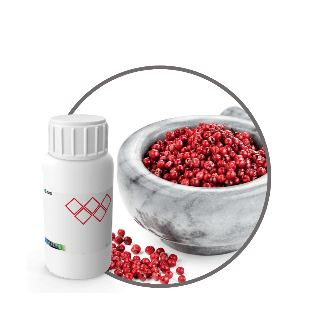 SC548644 - FRAGANCIA OUEST SOYCANDLE1