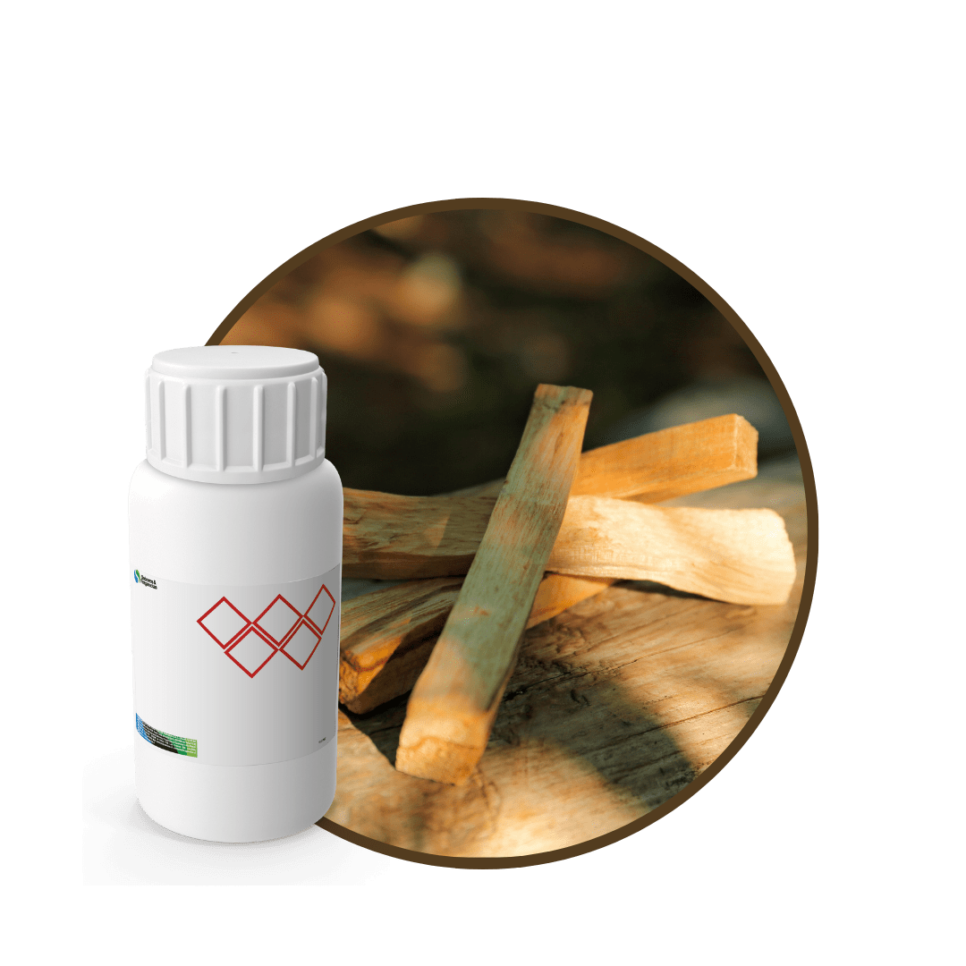 V3296618 - FRAGANCIA PALO SANTO MYSTIC1