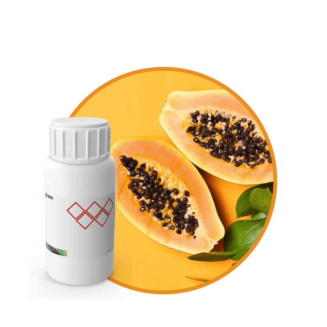 SC545644 - FRAGANCIA PAPAYA SOYCANDLE1