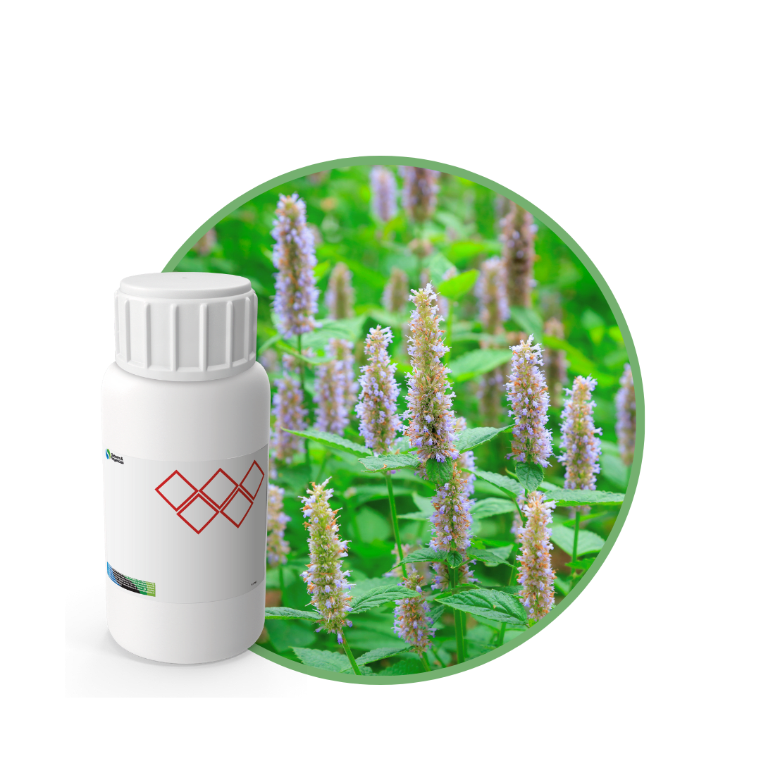 V9137118 - FRAGANCIA PATCHOULI MYSTIC1