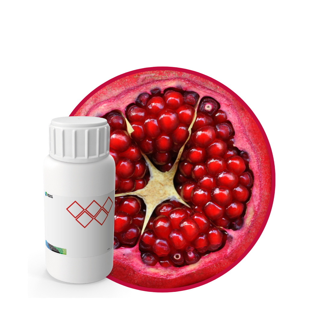 SC479344 - POMEGRANATE SOYCANDLE1
