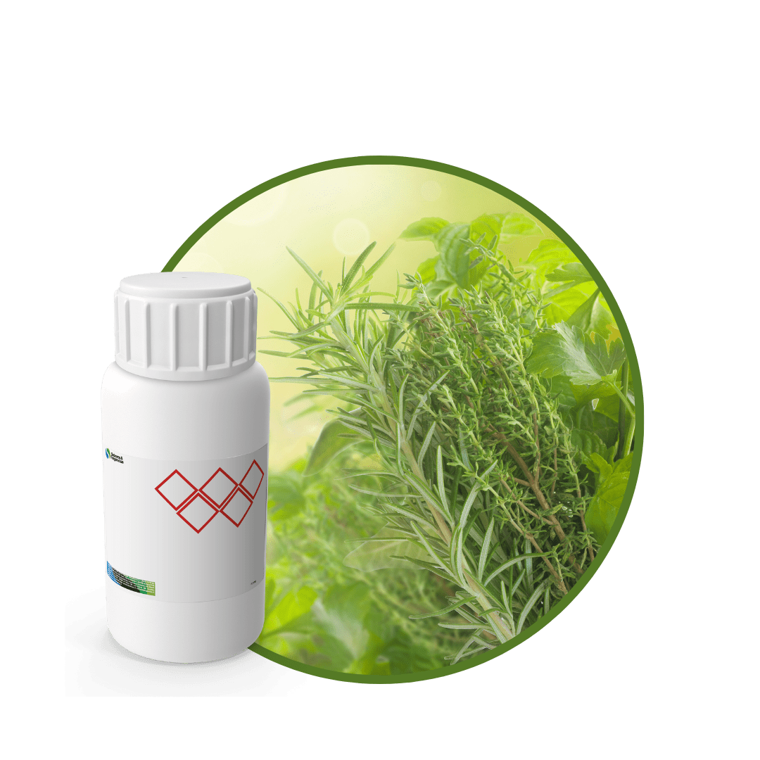 Z2077618 - FRAGANCIA PROVENCE AIR1