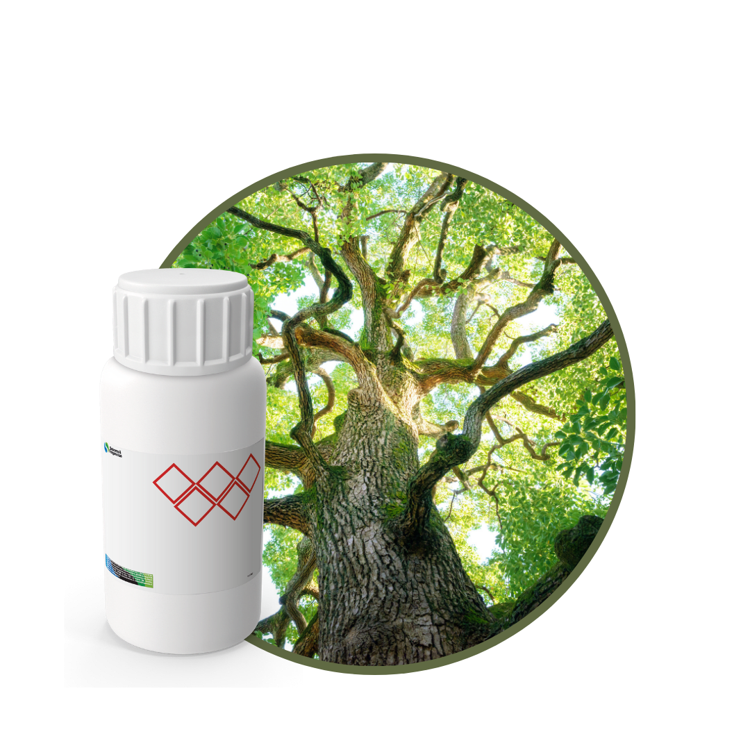 V3365618 - FRAGANCIA ROMERO MYSTIC1