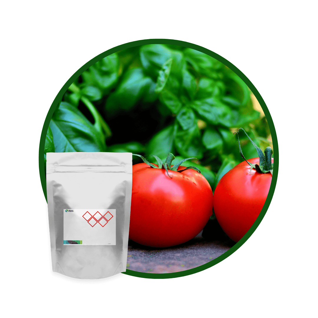 S3263426 - CONDIMENTO TOMATE ALBAHACA NATURAL1