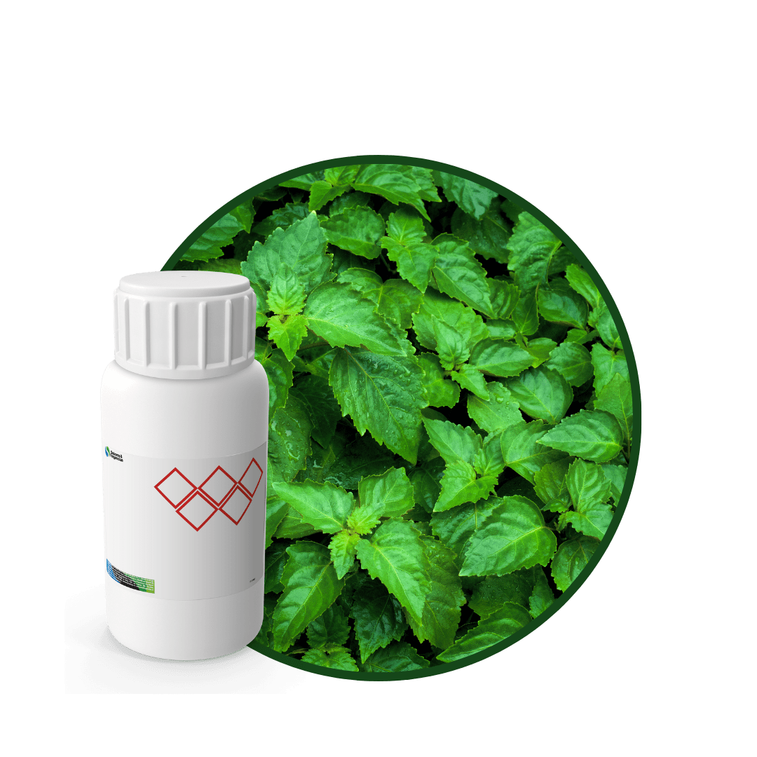 C9855044 - FRAGANCIA SEDUCTION AIR1