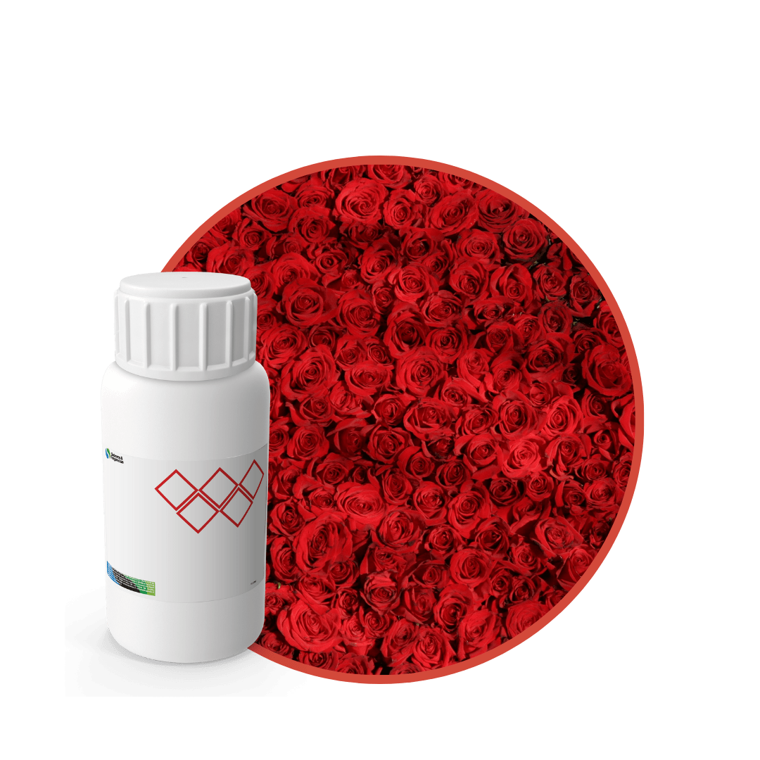 V5285318 - FRAGANCIA SHINY GARDEN SOYCANDLE1