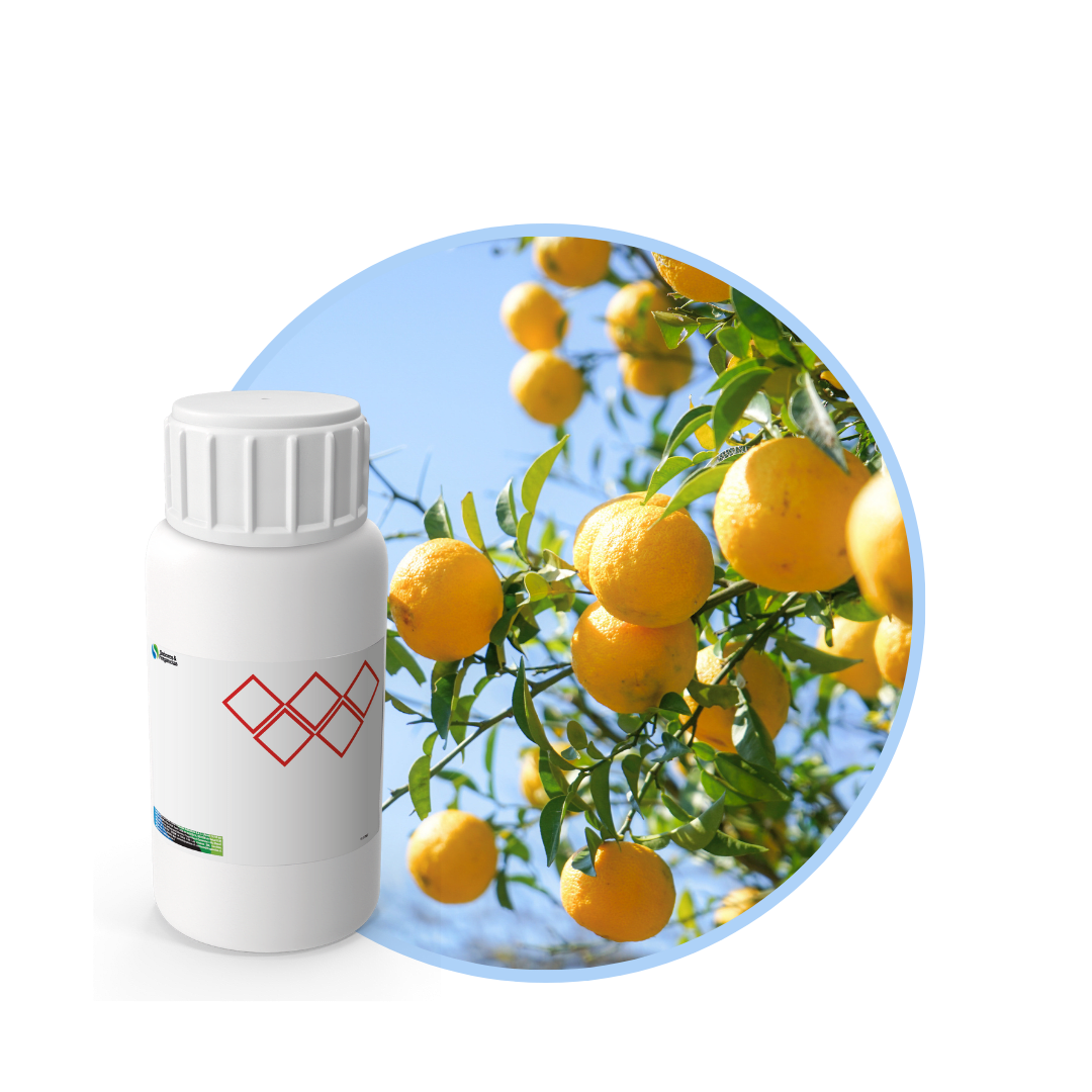 V6966318 - FRAGANCIA SOLE ARANCIO EF1