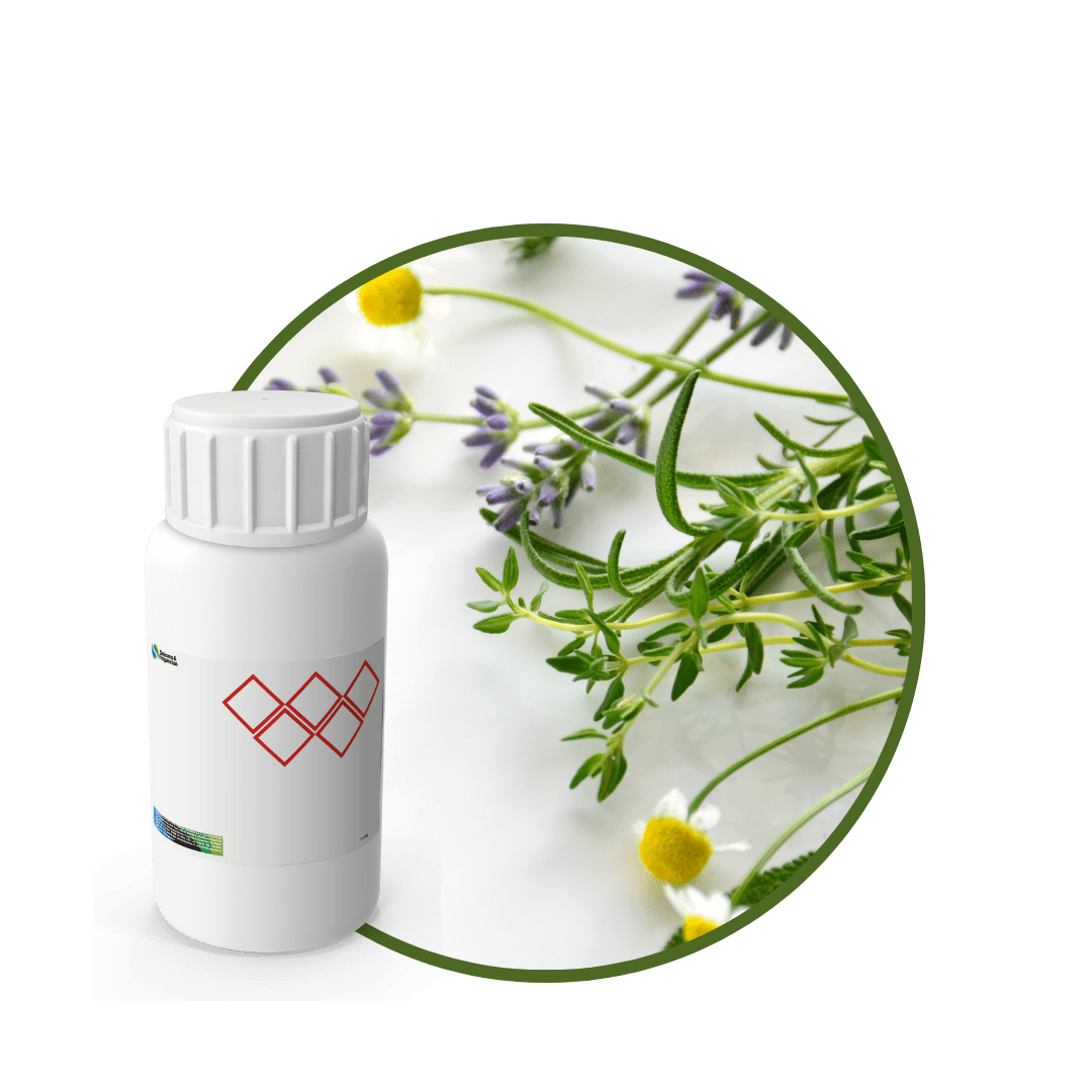 V1855518 - FRAGANCIA SPELL GLAM1