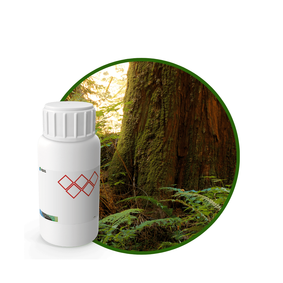 V4725618 - FRAGANCIA SPORT AIR1