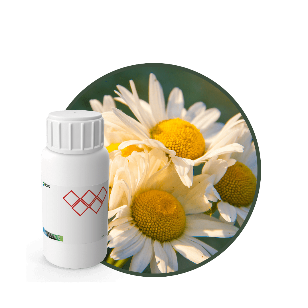 AC656018 - FRAGANCIA SPRING RELAX1