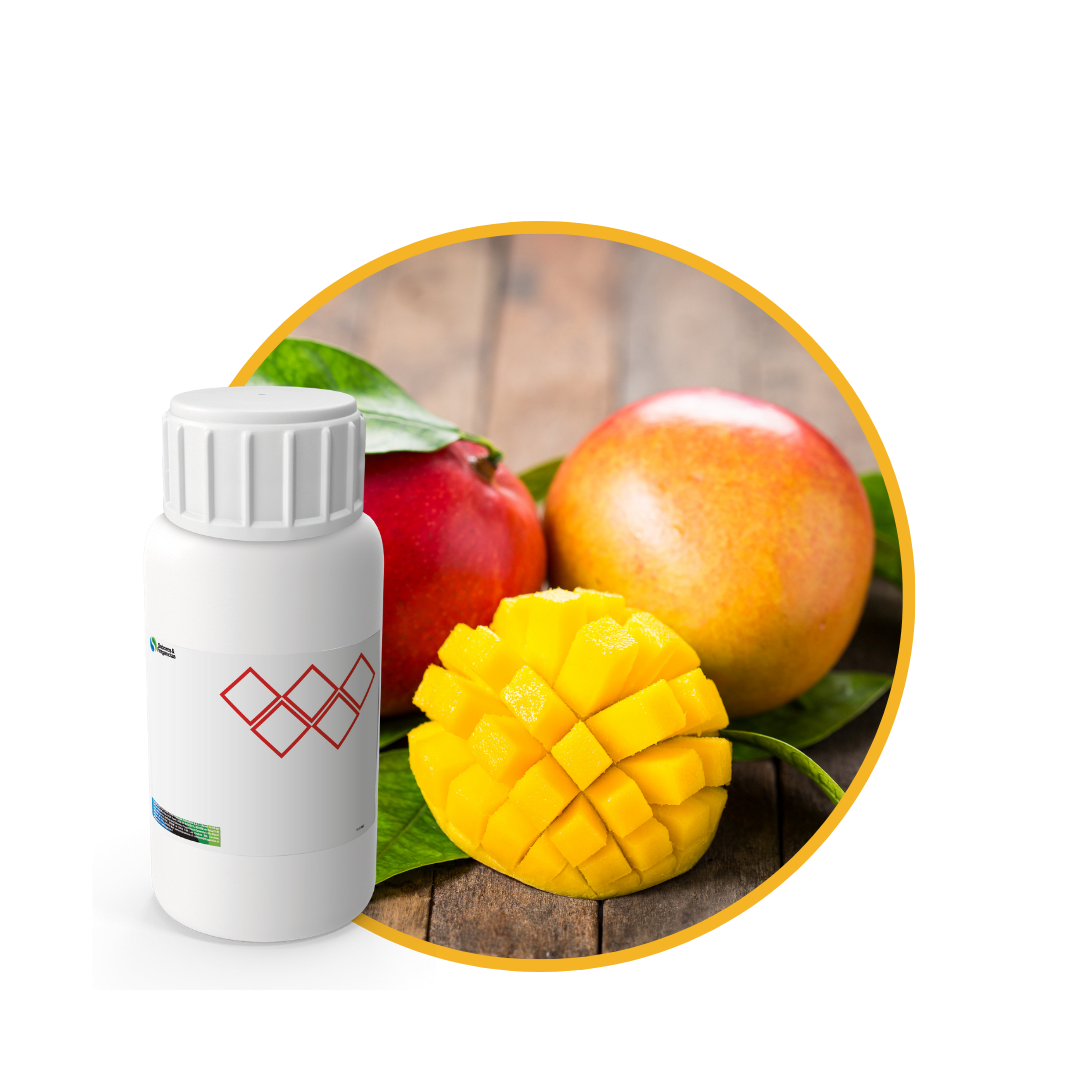 SC543844 - FRAGANCIA SWEET MANGO SOYCANDLE1