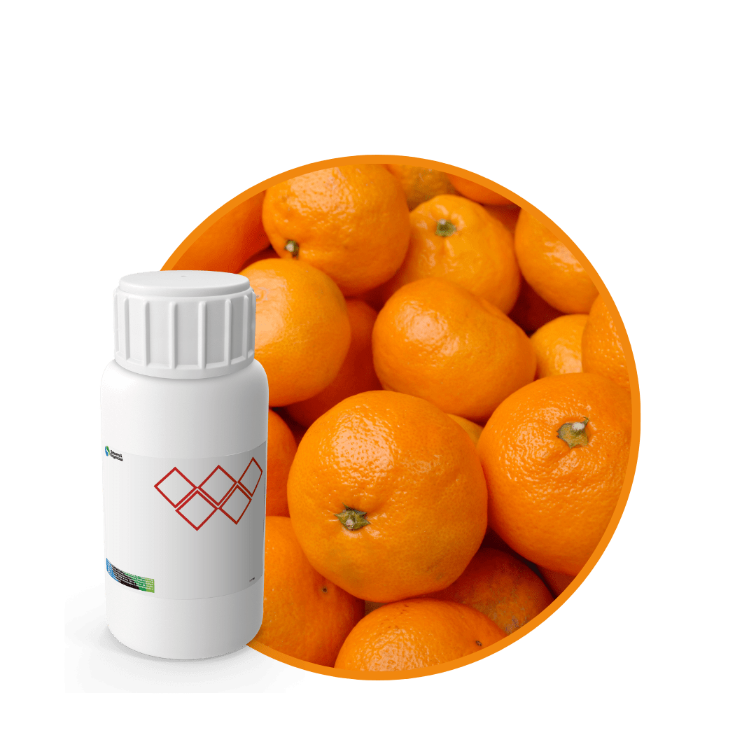 CC994218 - FRAGANCIA TANGERINE CANDLES1