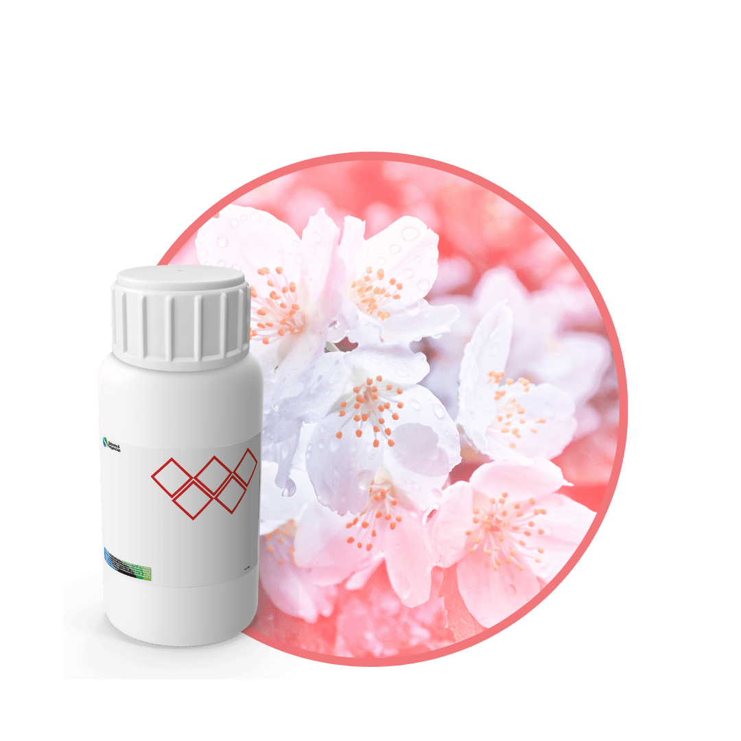 V4502718 - FRAGANCIA TOUCH CANDLES1