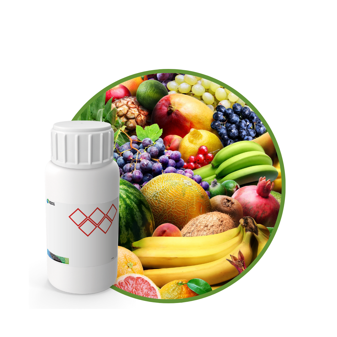 AC666618 - FRAGANCIA TROPICAL CANDLES1