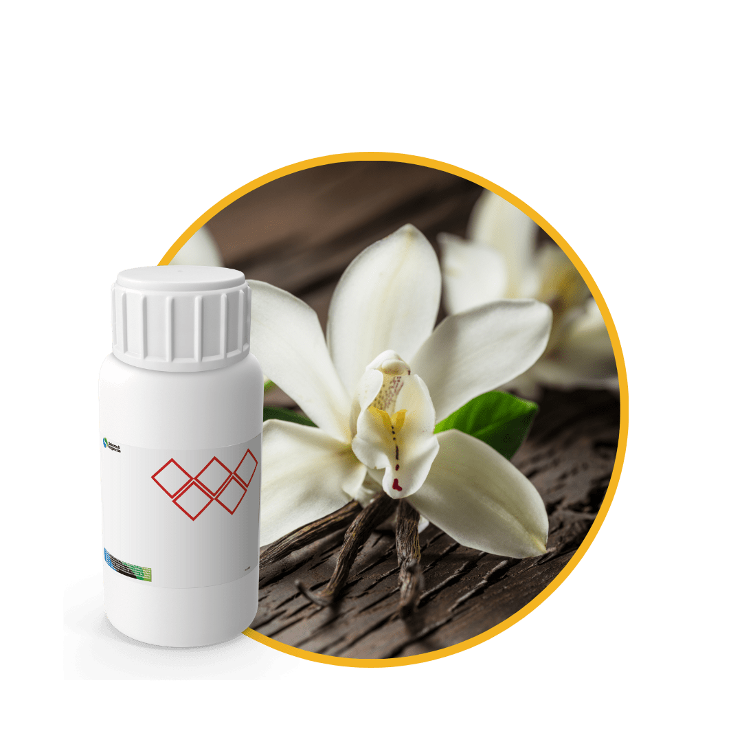 Z2819118 - FRAGANCIA VANILLA AIR1