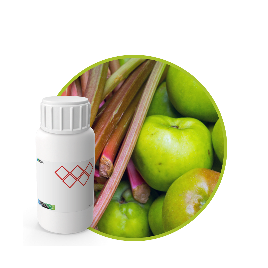 V8385118 - FRAGANCIA VITAL SOYCANDLE1