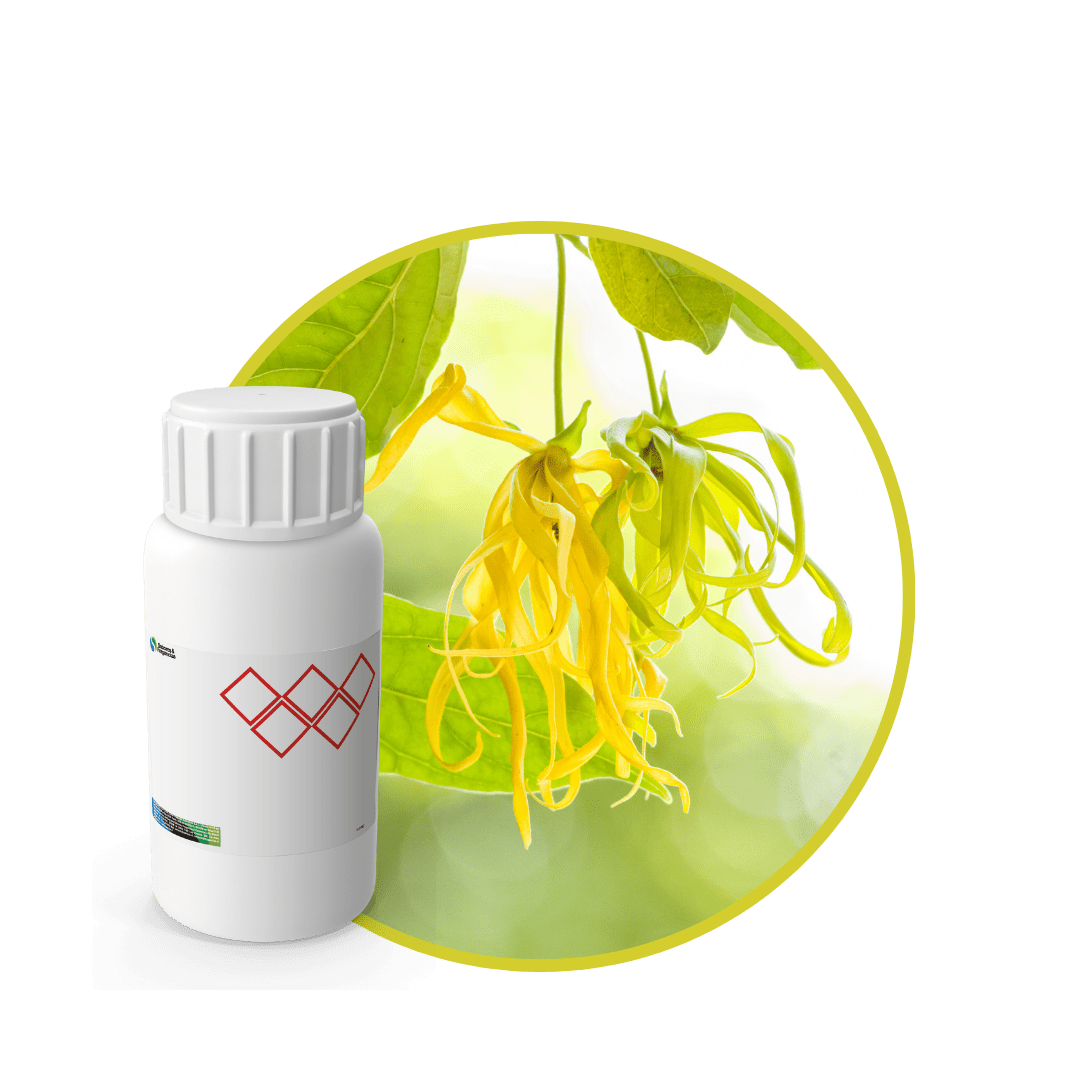V0299018 - FRAGANCIA YLANG YLANG CARE1
