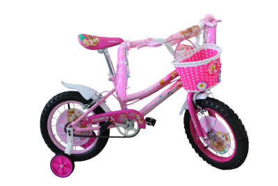 BICICLETA NICE GIRL R14