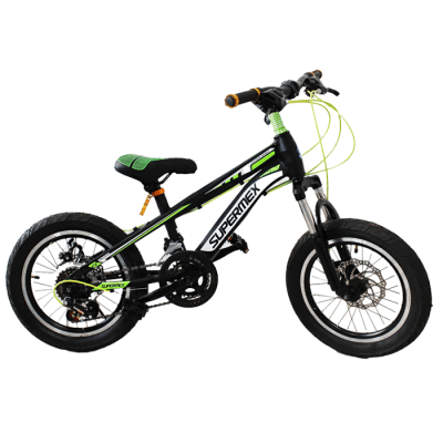 BICICLETA SPACE R16