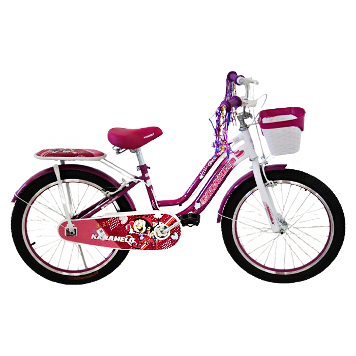 Bicycle Canasto Para Bici NiÃ±a Bicicleta Rodada 20 Bicicletas De