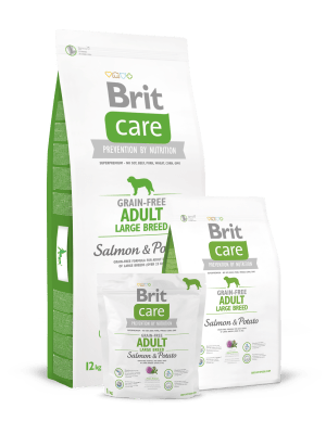 BRIT CARE DOG GRAIN-FREE ADULT LARGE BREED SALMON 12 KG1