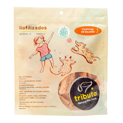 TRIBUTO - CRUDO FILETE DE SALMON 100G1