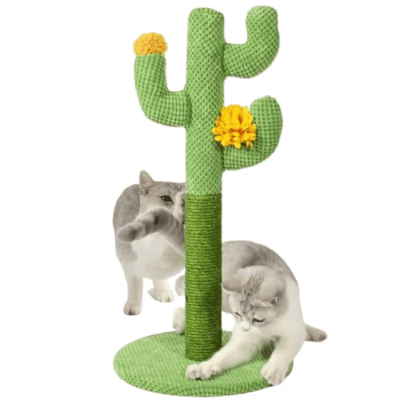 CACTUS RASCADOR1