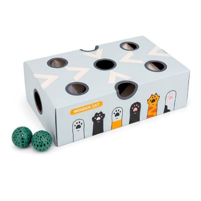 JUEGO INTERACTIVO CAJA CON PELOTAS1