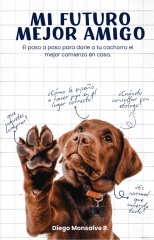 EBOOK: MI FUTURO MEJOR AMIGO