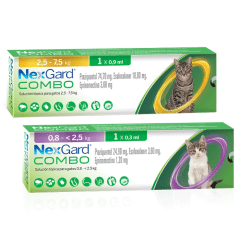 NEXGARD COMBO PIPETA GATO