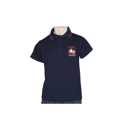 POLERA PIQUE ALPES1