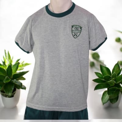 Polera Polo1