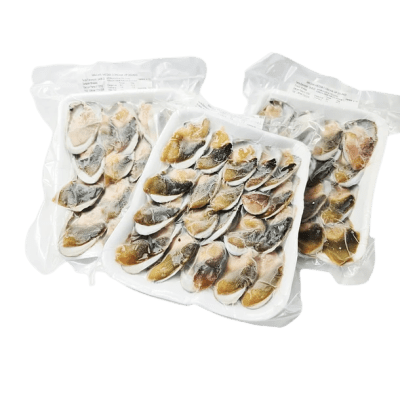 MACHAS MEDIA CONCHA 10 UNIDADES1