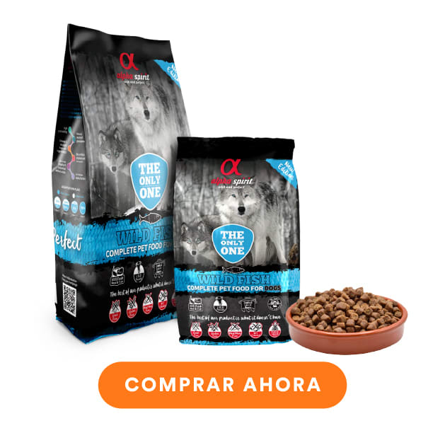 brand alpha spirit