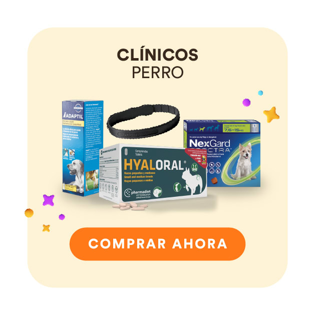 collection clinicos perro