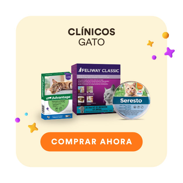 collection clinicos gato