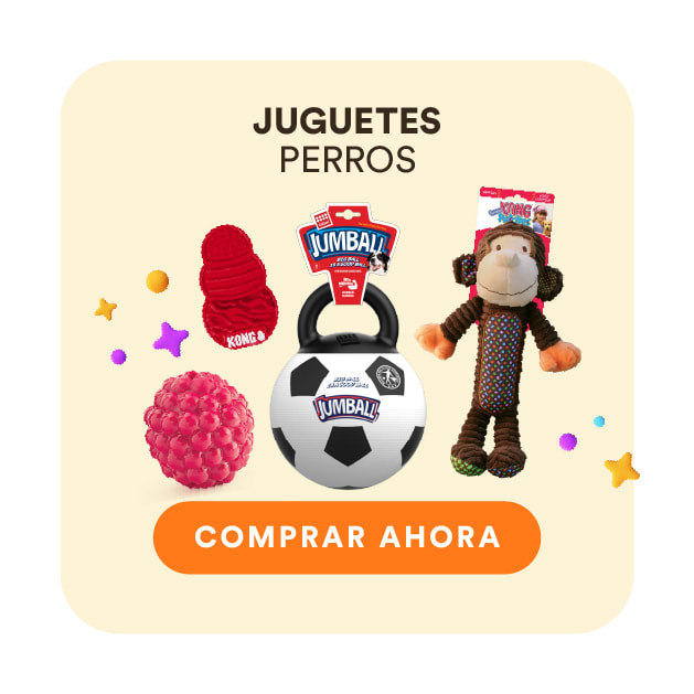 collection juguetes perro