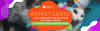 anner desktop4293 title