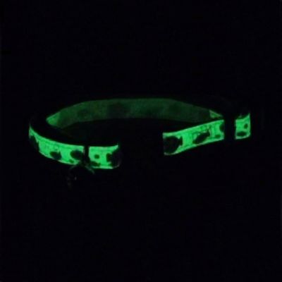 COASTAL GLOW IN THE DARK COLLAR FISH