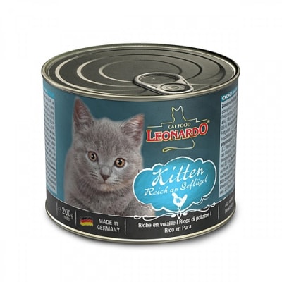 LEONARDO LATA KITTEN1