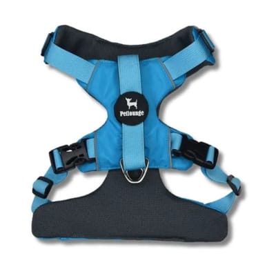 PETLOUNGE ARNES OUTDOOR M