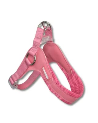 ARNES EASY GLAM M1