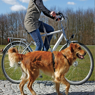 CORREA PARA BICI Y FOOTING