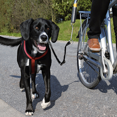 BIKER SET PARA PERROS GRANDES