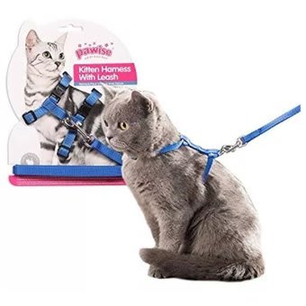 PAWISE ARNES CON TRAILLA