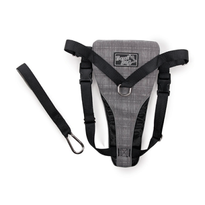 AFP TRAVEL DOG ARNES SEGURIDAD