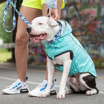 GFPET IMPERMEABLE REVERS NEON/AQUA