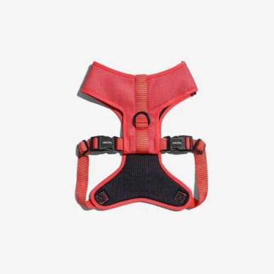 ZEEDOG NEON CORAL AIR MESH HARNESS