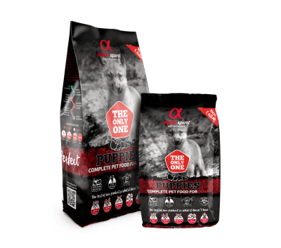 ALPHA SPIRIT PUPPIES1 ALPHA SPIRIT PUPPIES1